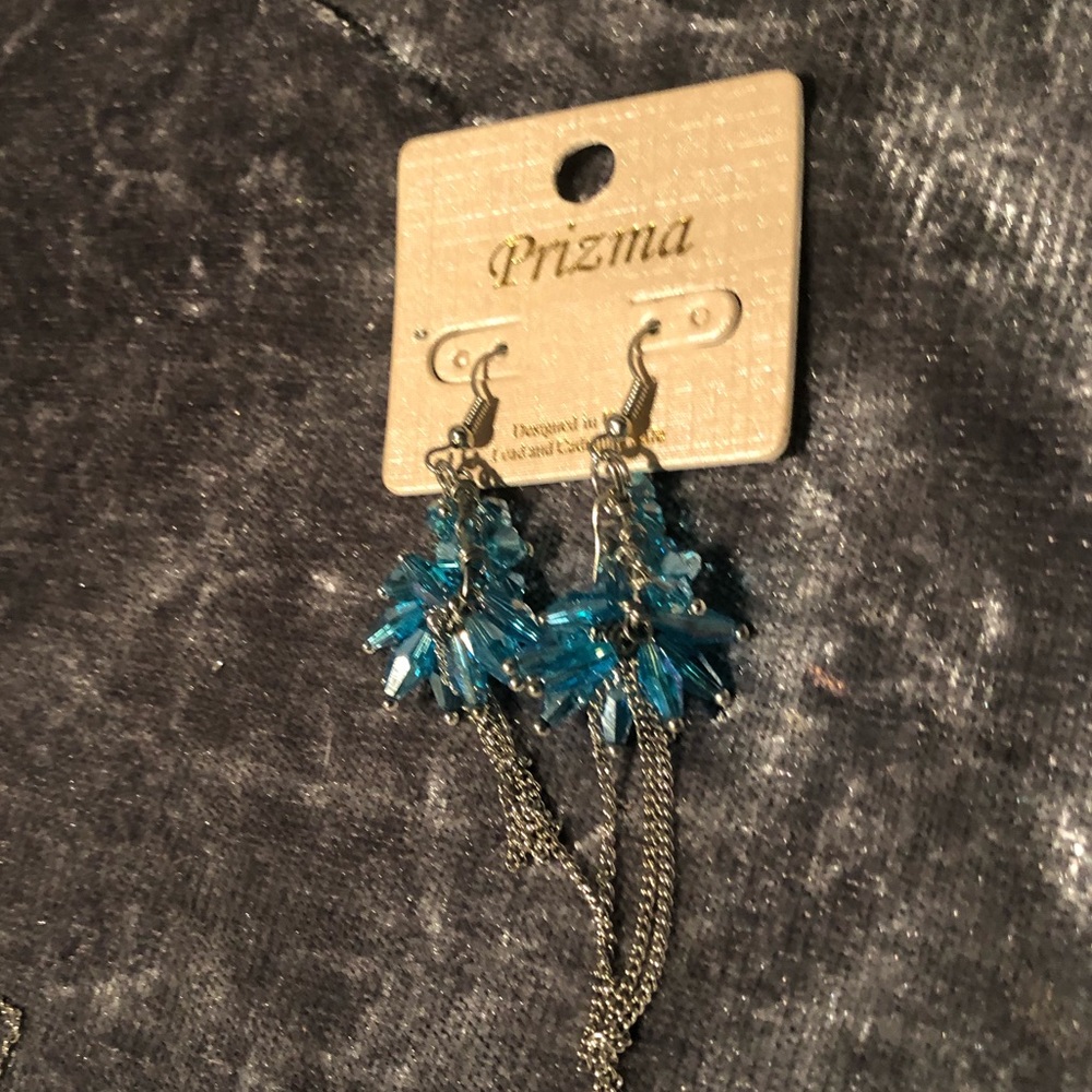 Silver/Blue Earrings